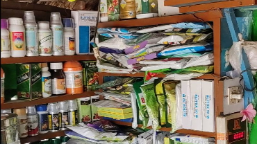 Close-up of a worker inspecting crops for pests