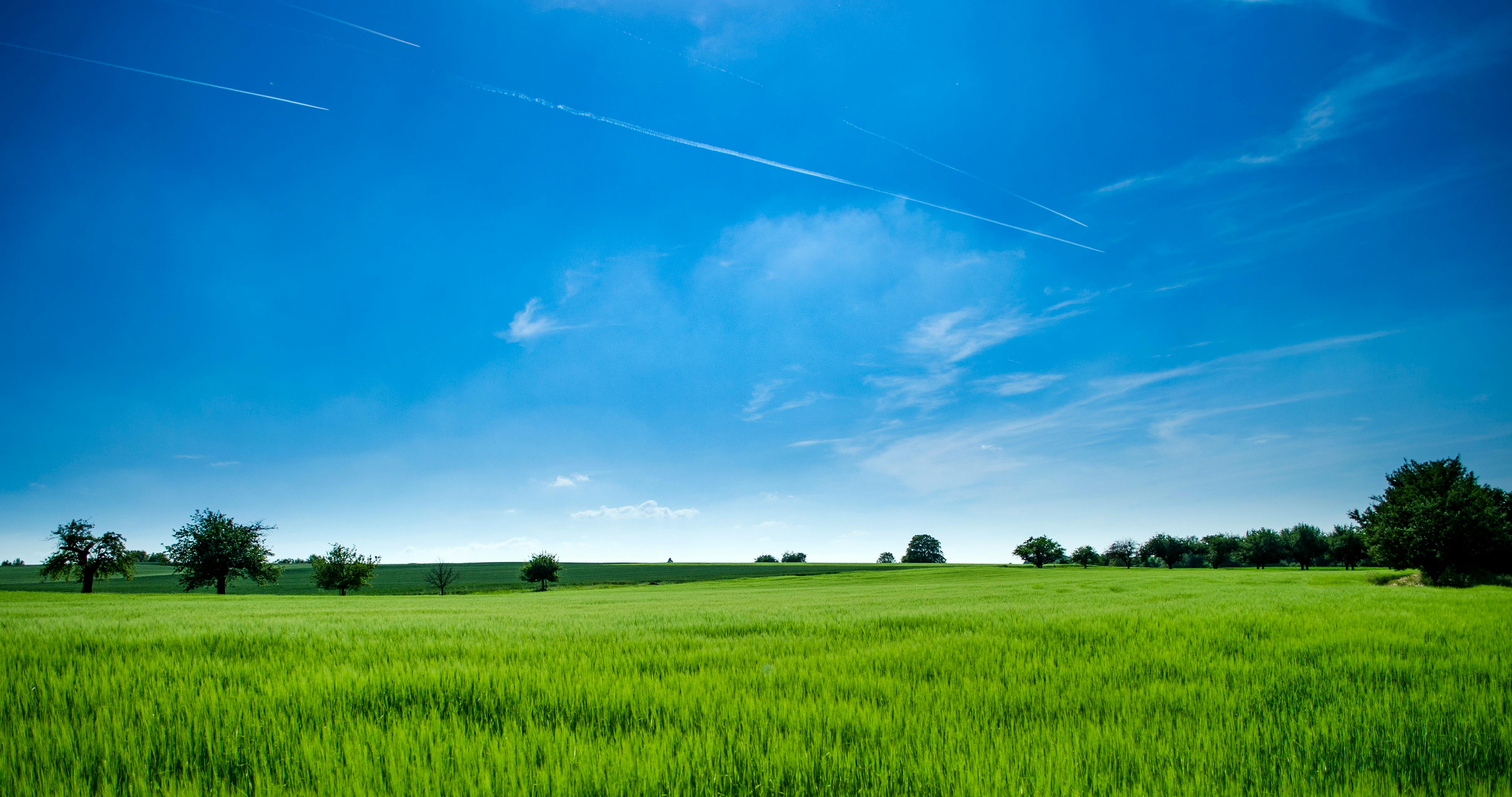 Agricultural field with a view of a mountain range at sunset, symbolizing growth and prosperity.